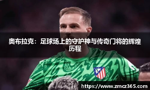BB贝博官网