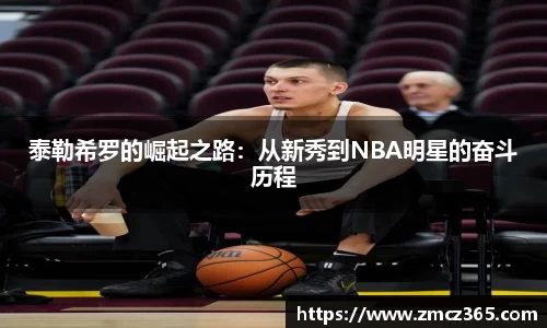 BB贝博登录入口