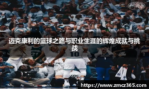 BB贝博官网